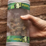 Cómo hacer hachís casero de forma fácil y económica